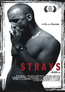 strays